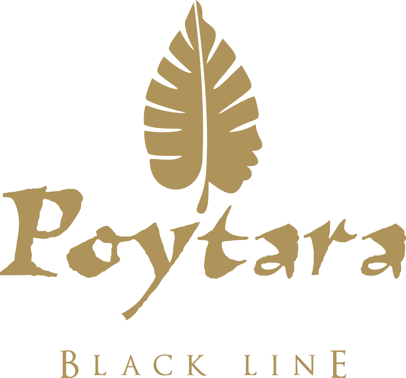 Poytara Black Line
